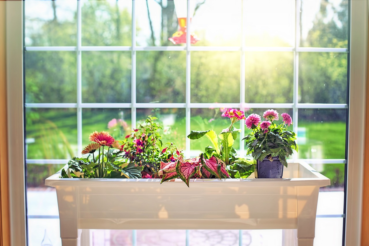 冬日暖阳下的苏州花卉销售文案——品质绿植花卉的选购指南冬季花卉语录  第1张